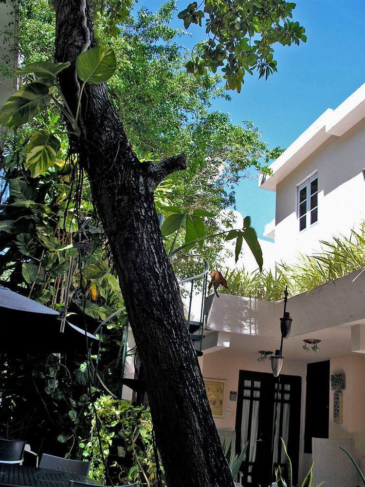 Oceana Hostal Playero San Juan Dış mekan fotoğraf